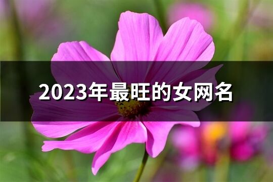 2023年最旺的女网名(共1158个)