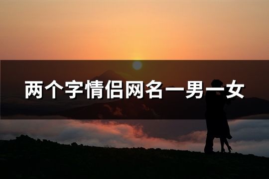 两个字情侣网名一男一女(69对)