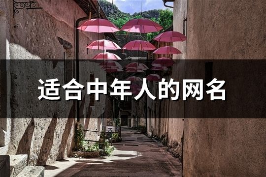 适合中年人的网名(共197个)