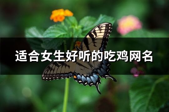 适合女生好听的吃鸡网名(共95个)