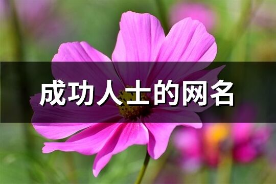 成功人士的网名(234个)