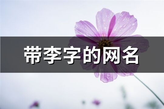 带李字的网名(精选130个)