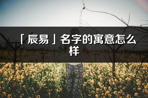 「辰易」名字的寓意怎么样