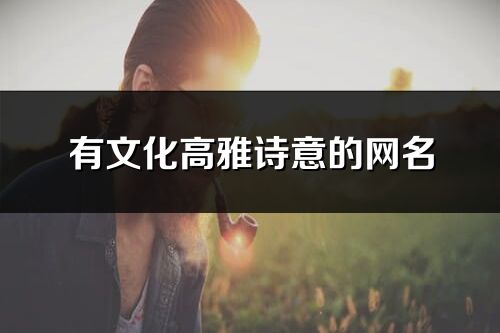 有文化高雅诗意的网名