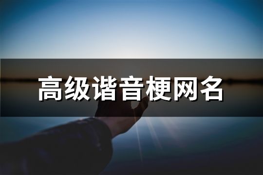 高级谐音梗网名(共142个)