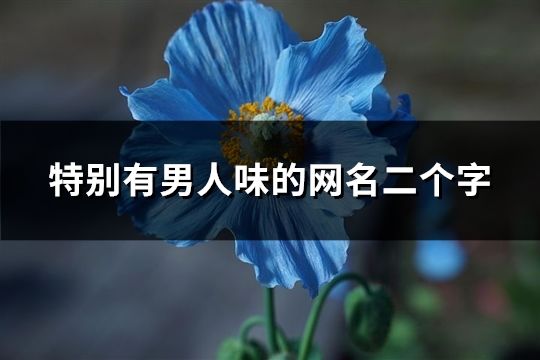 特别有男人味的网名二个字(共251个)