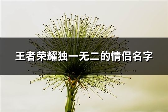 王者荣耀独一无二的情侣名字(精选148对)