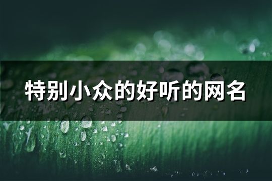 特别小众的好听的网名(共200个)