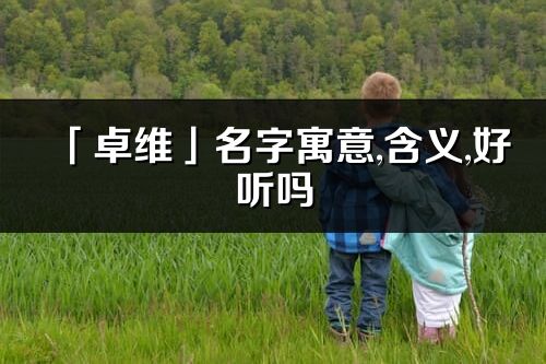 「卓维」名字寓意,含义,好听吗_卓维名字分析打分