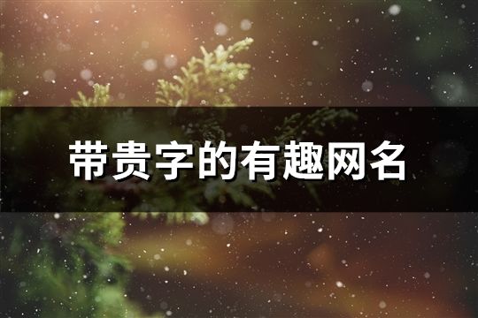 带贵字的有趣网名(共86个)