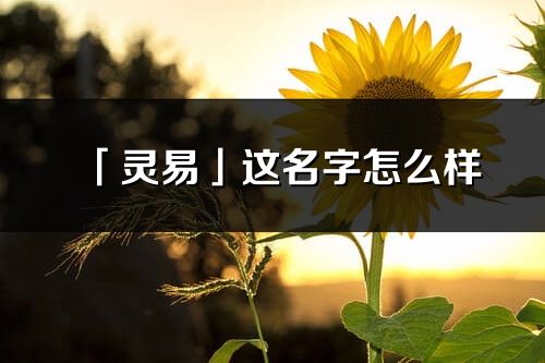 「灵易」这名字怎么样_灵易的名字解释