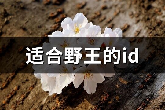 适合野王的id(共66个)