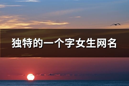 独特的一个字女生网名(615个)