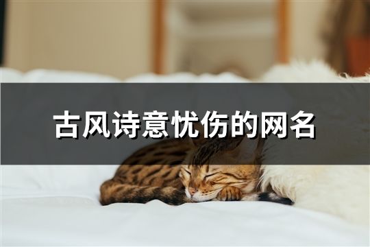 古风诗意忧伤的网名(精选565个)