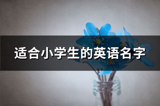 适合小学生的英语名字(共133个)