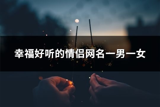 幸福好听的情侣网名一男一女(403对)