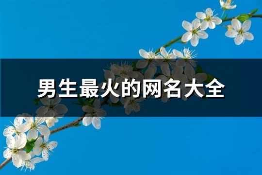 男生最火的网名大全(共31个)