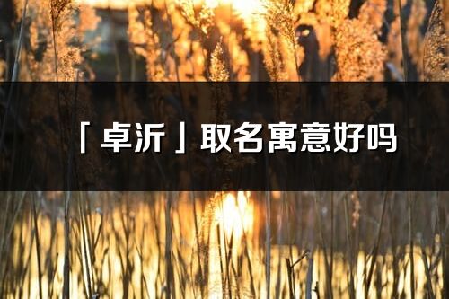 「卓沂」取名寓意好吗_卓沂名字含义及五行