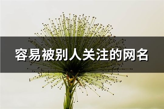 容易被别人关注的网名(144个)