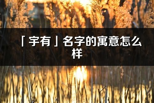 「宇有」名字的寓意怎么样