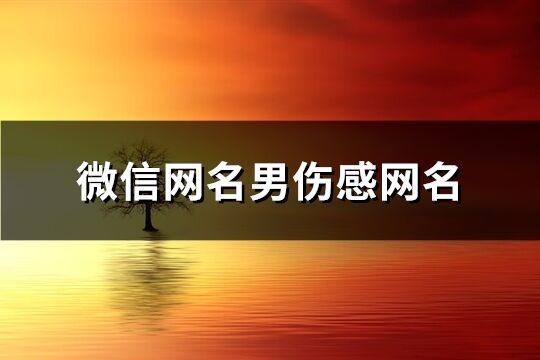 微信网名男伤感网名(共254个)