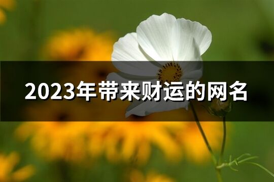 2023年带来财运的网名(共717个)