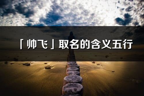 「帅飞」取名的含义五行_帅飞名字寓意解释