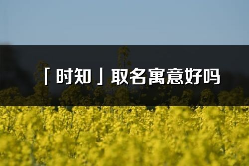 「时知」取名寓意好吗