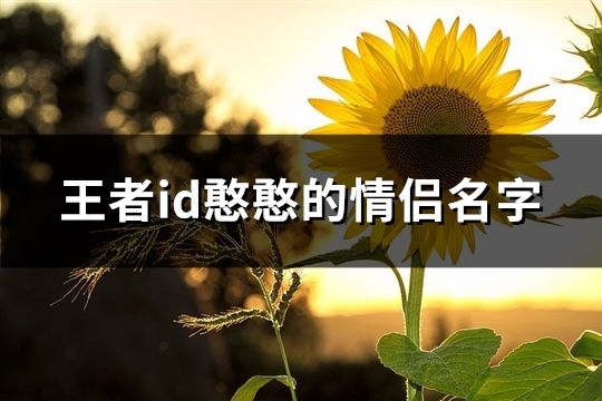 王者id憨憨的情侣名字(精选70对)