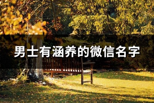 男士有涵养的微信名字(共108个)