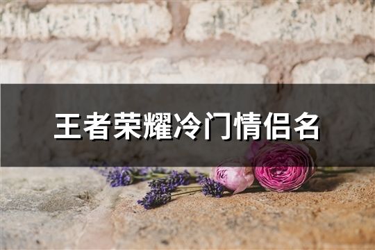 王者荣耀冷门情侣名(共126对)