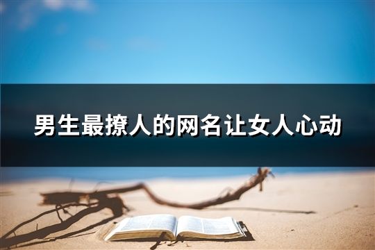 男生最撩人的网名让女人心动(292个)