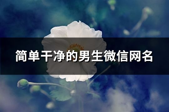 简单干净的男生微信网名(精选1173个)