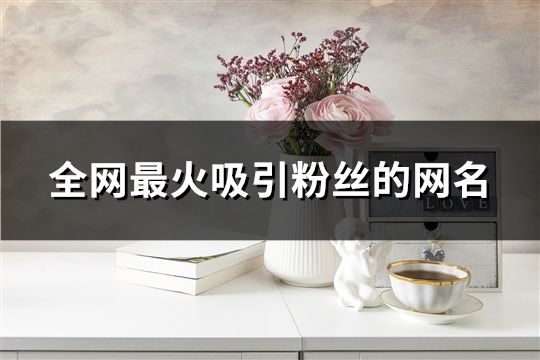 全网最火吸引粉丝的网名(共76个)