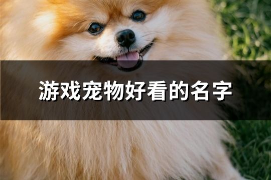 游戏宠物好看的名字(共102个)