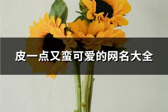 皮一点又蛮可爱的网名大全(精选94个)